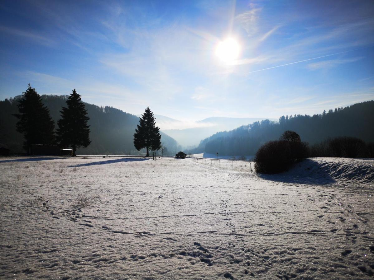 St. Bonifatius Hotel Winterberg Eksteriør billede